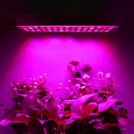 Lampa LED Crestere Plante, Spectru Complet Red Blue UV IR, Panou Iluminat Interior, Material ABS cu Agatatoare, 15W, 25 x 25 cm, Multicolor
