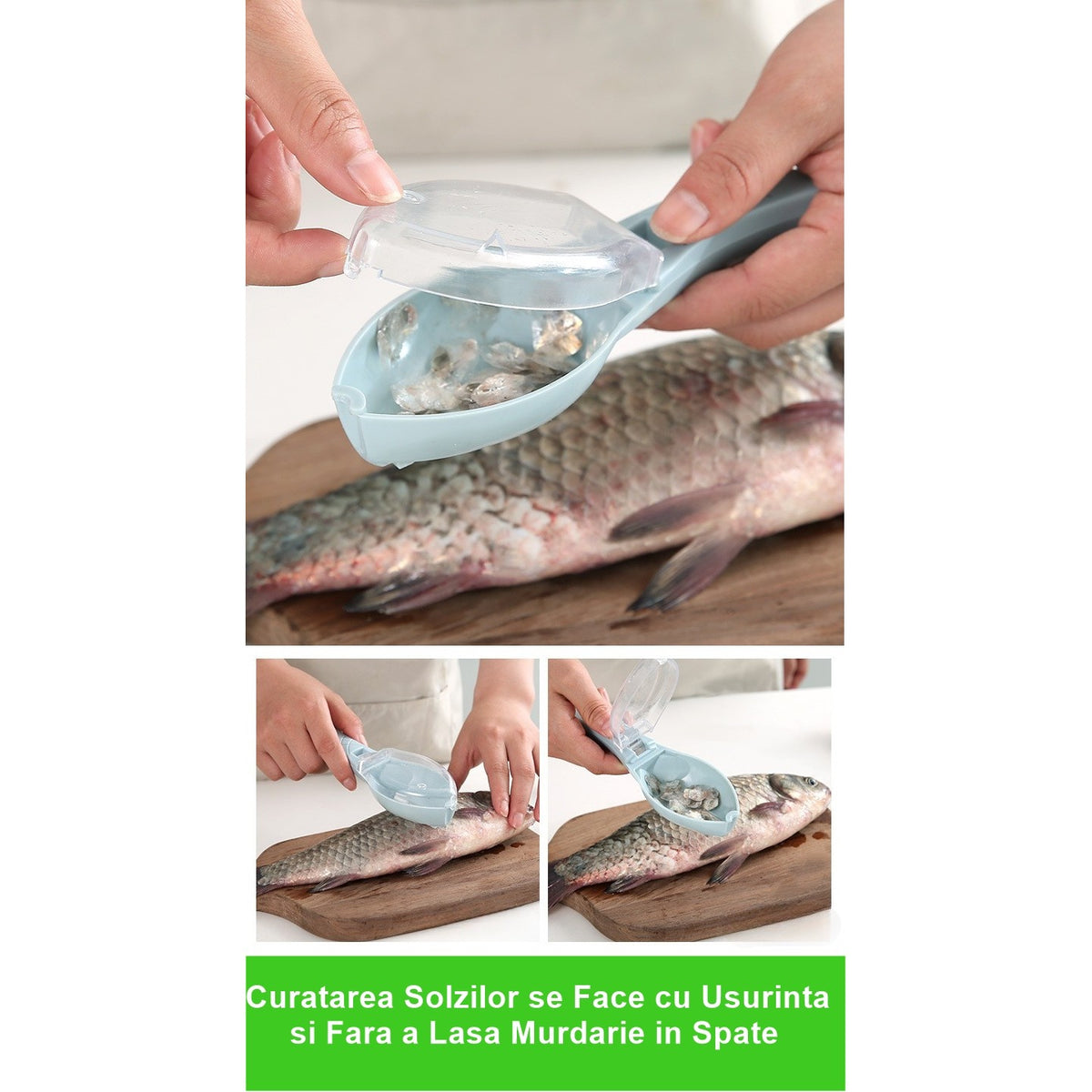 Curatator Solzi de Peste cu Recipient Colector si Capac, Dispozitiv Ergonomic pentru Curatare, Plastic Rezistent, Albastru Deschis, 16x6 cm