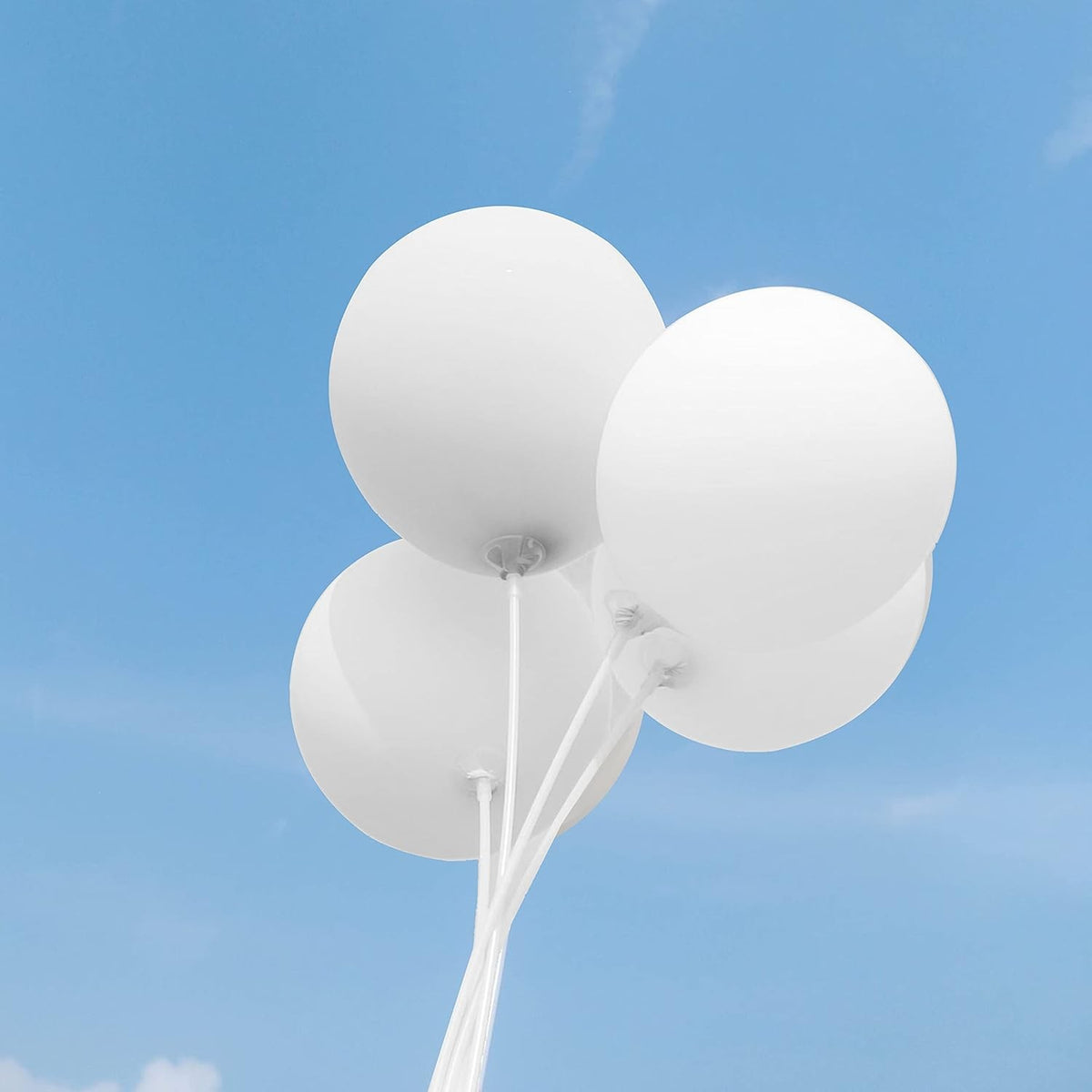 Set 10 Baloane din Latex, Model Party, Pentru Aer sau Heliu, Biodegradabile, 13 cm, 1 g, Alb