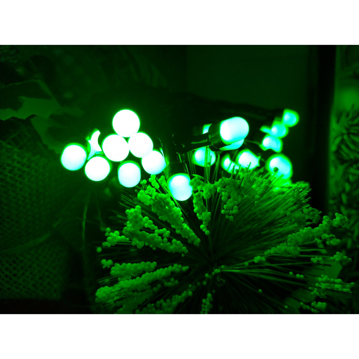 Instalație de Crăciun Tip Șir, 30 LED-uri, Alimentare cu Baterii, Fir Cupru, Interior, 3 m, Verde