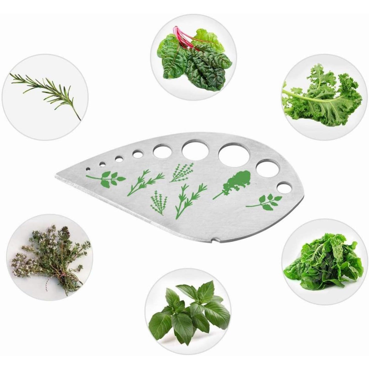 Tocator Manual Si Dispozitiv Curatare Ierburi, Instrument Multifunctional Cu 9 Gauri Pentru Frunze, Margini Ascutite Si Maner Ergonomic, Otel Inoxidabil Rezistent La Rugina, 12.3 x 6.9 cm, Argintiu