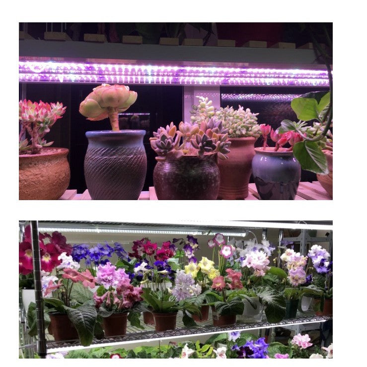 Lampa Dubla LED pentru Cresterea Plantelor, Spectru Complet, Tehnologie T5, Durata Viata 50.000 Ore, 50 cm, Alb