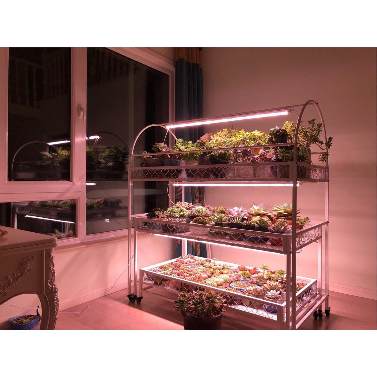 Lampa LED Dubla pentru Cresterea Plantelor, Tuburi T5 Full Spectrum, Lumina Alb Calda, Sistem de Iluminat Horticol, Durata de Viata 50.000 Ore, 50 cm