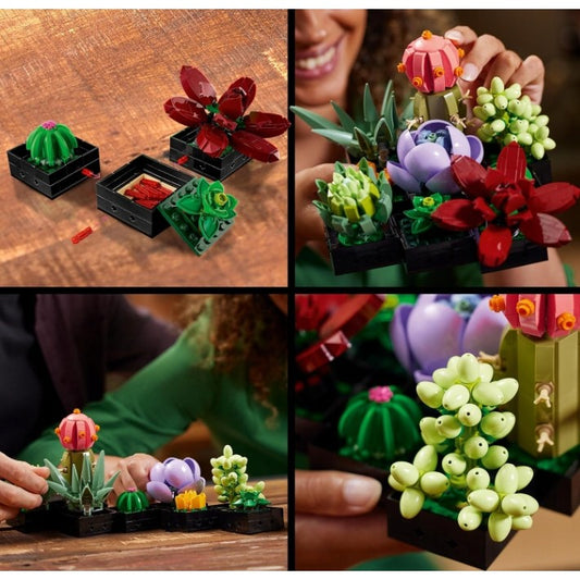Set de Constructie Plante Suculente, Ghivece de Flori Decorative pentru Adulti, Colectia Botanica, 771 Piese, 9 Modele Individuale, Multicolor