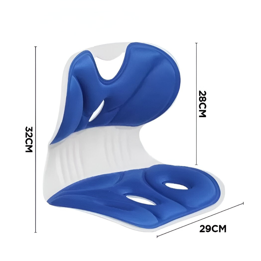 Suport Scaun pentru Corectarea Posturii, Spătar Ergonomic Portabil pentru Ameliorarea Durerii de Spate, Polipropilenă și Spumă cu Memorie, 32x29x28 cm, Mărime S, Albastru