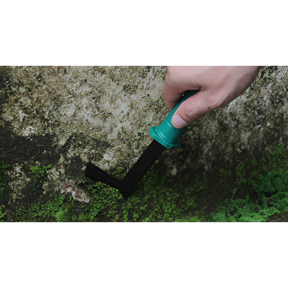 Set Unelte Gradinarit Pentru Plantare Si Ingrijire Plante, Accesorii Gradina Cu Maner Ergonomic, Otel Si Plastic, 12 Piese Cu Cutie Depozitare, 37x28 cm, Verde