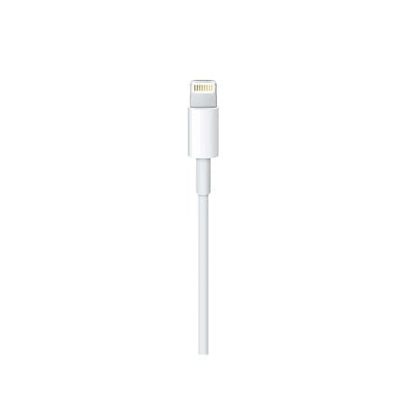 Cablu Date si Incarcare SX-25, USB Tip C la Lightning, 3A Fast Charge, Cip Protectie Supratensiune, Invelis Flexibil TPE, Compatibil iPhone Seria 14, 13, 12, 11, X, 8, 7, 1 m, Alb