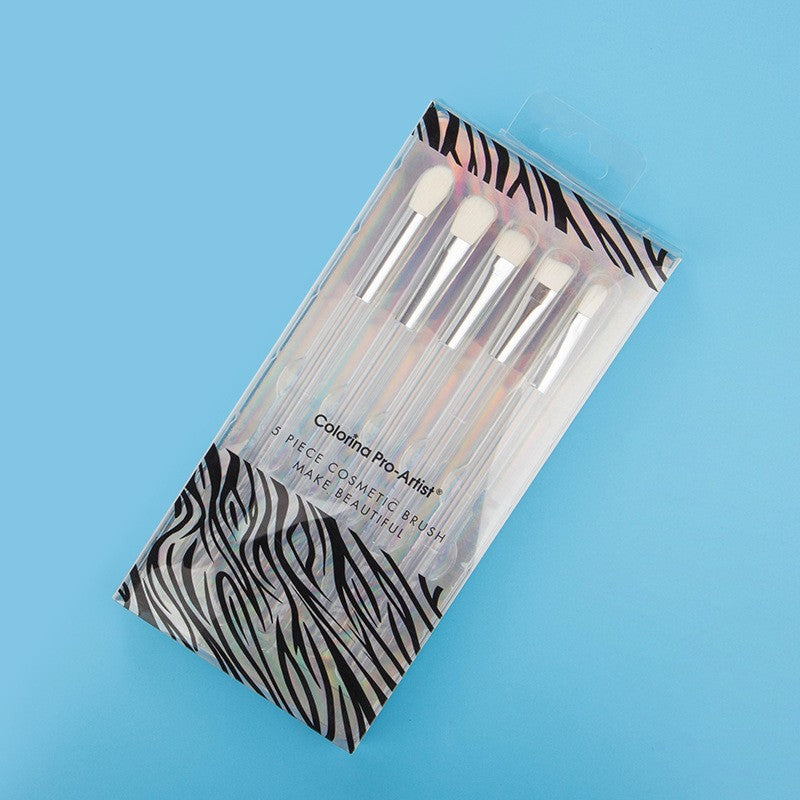 Set 5 Pensule Machiaj Ochi si Sprancene, Peri Sintetici Moale pentru Estompare si Detalii, Maner Plastic Transparent, 5 Piese
