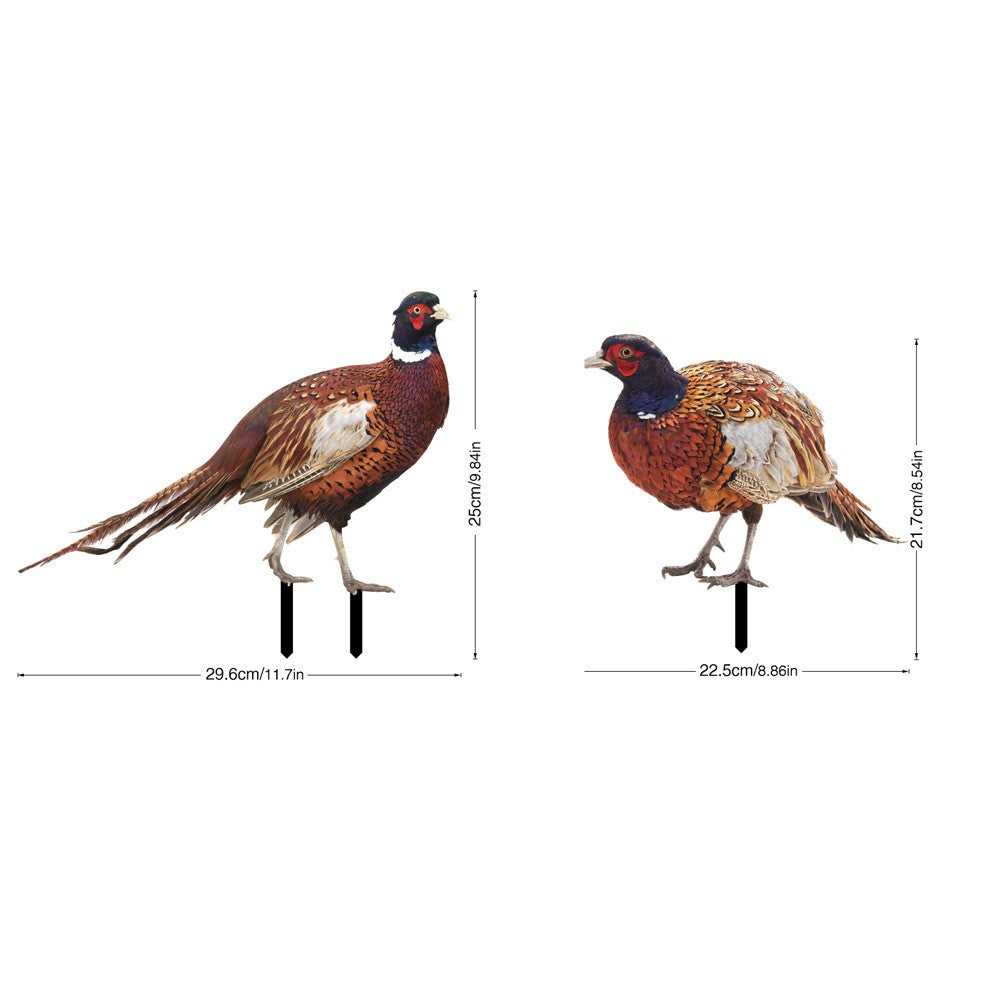 Set 2 Decorațiuni De Grădină, Model Fazani Cu Design Față-Verso, Acril Rezistent 3 mm, Multicolor, 2 Bucăți