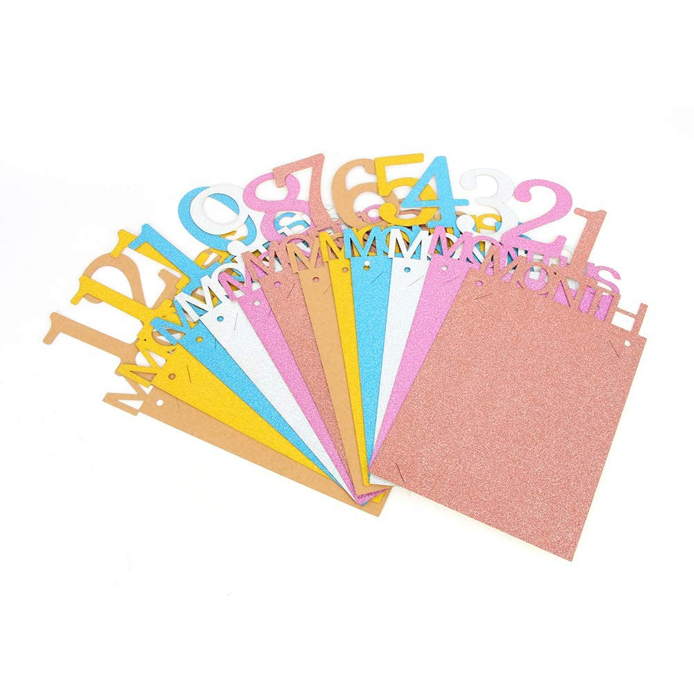 Banner Foto Prima Aniversare, Decoratiune Primele 12 Luni, Ghirlanda Fotografii Bebelusi cu Rola Ata Inclusa, Carton, 15.2x10.2 cm, Multicolor