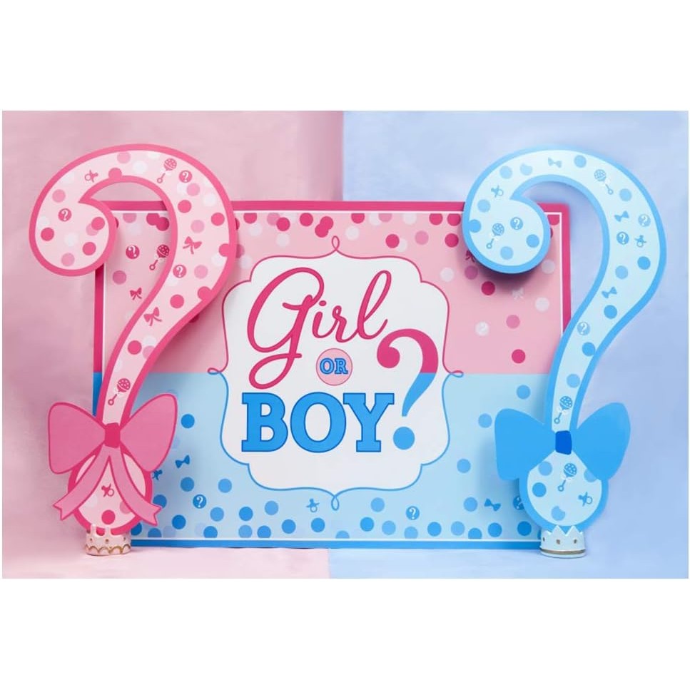 Banner Gender Reveal, Panou Decorativ Petrecere Girl or Boy, Fundal Foto Rezistent, Material Plastic, 150 x 100 cm, Albastru și Roz