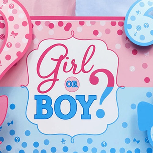Banner Gender Reveal, Panou Decorativ Petrecere Girl or Boy, Fundal Foto Rezistent, Material Plastic, 150 x 100 cm, Albastru și Roz