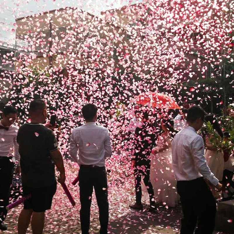 Tun Confetti Manual, Inimioare Roz si Mesaj Love, Lansator prin Rasucire pentru Nunti si Evenimente, Carton si Hartie, 40 x 5 cm, Alb si Roz