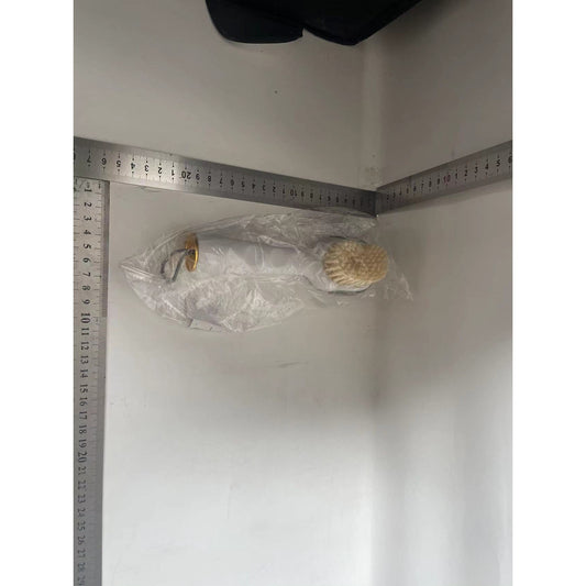 Perie pentru Curatare Incaltaminte cu Recipient pentru Detergent, Perie Multifunctionala pentru Lenjerie, Peri Moi din Nylon, Plastic Durabil, 22x6x4 cm, Alb