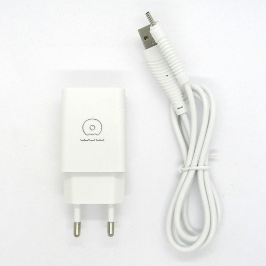 Flipyy Incarcator Retea 1A, Adaptor Priza EU cu Cablu USB Type C 1 m Inclus, Model T18 Blister, Alb